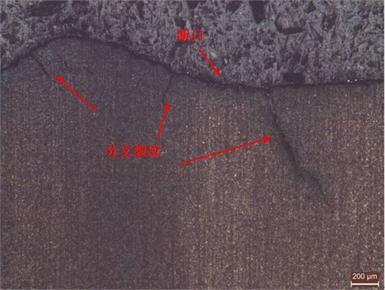 斷裂擴(kuò)展區(qū)縱截面金相組織