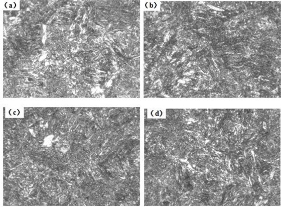 圖12-15 （a、b、c、d） 1～4號樣金相組織 500×