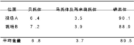 雙相鋼彩色金相顯微組織形貌觀察表