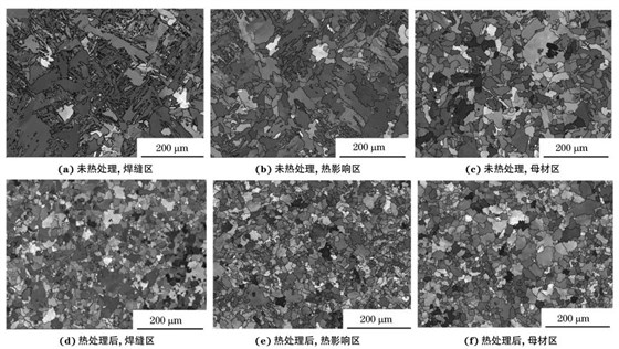 圖２ 熱處理前后焊接接頭焊縫區(qū)、熱影響區(qū)和母材區(qū)的取向成像圖