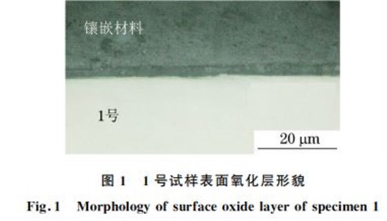 圖１ １號試樣表面氧化層形貌