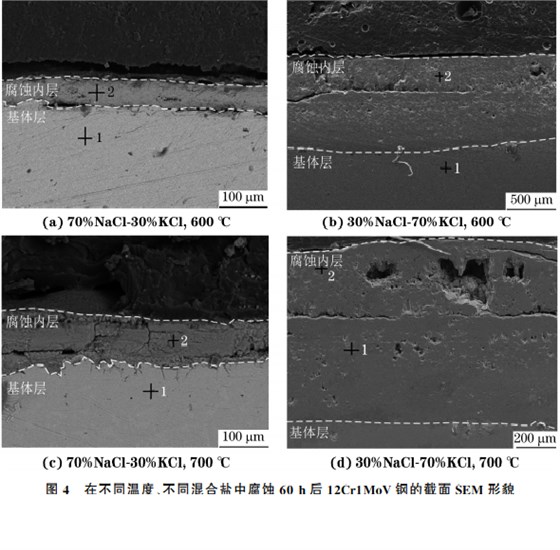 在不同溫度、不同混合鹽中腐蝕６０h后１２Cr１MoV鋼的截面SEM 形貌