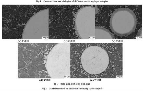 圖２ 不同堆焊層試樣的顯微組織