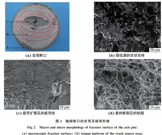圖２ 軸銷(xiāo)斷口的宏觀及微觀形貌