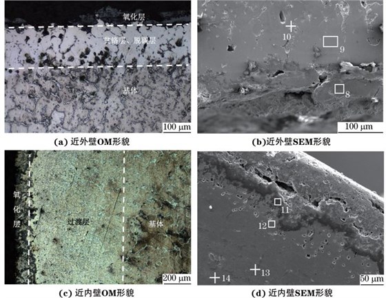 圖３ ２＃ 管橫截面近外壁和近內(nèi)壁的顯微組織