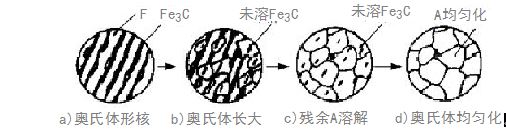 奧氏金相體檢測