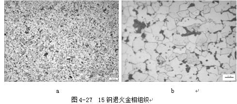 碳鋼退火金相組織