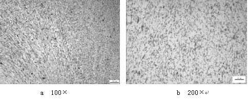 ML16CrSiNi長托板螺母未熱處理的金相組織，可見變形痕跡