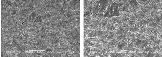 圖16-67 裂紋件的組織形貌 500× 圖16-68 裂紋件的組織形貌 1000×