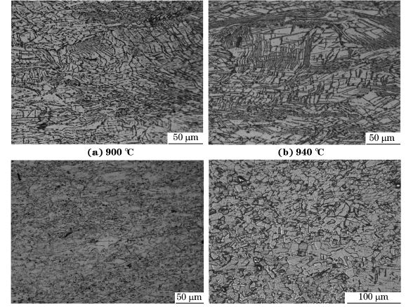 圖５ 在不同溫度、應(yīng)變速率為０．０１０s－１下壓縮至應(yīng)變量為７０％后GH４１６９合金的顯微組織