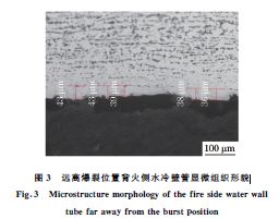 圖３ 遠離爆裂位置背火側(cè)水冷壁管顯微組織形貌