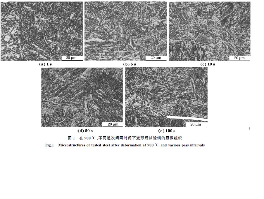 圖１ 在９００ ℃、不同道次間隔時(shí)間下變形后試驗(yàn)鋼的顯微組織