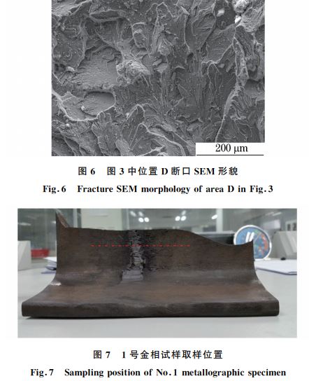 圖６ 圖３中位置 D斷口SEM 形貌