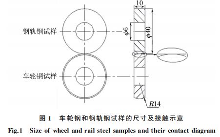 圖１ 車輪鋼和鋼軌鋼試樣的尺寸及接觸示意