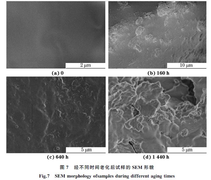 圖７ 經(jīng)不同時(shí)間老化后試樣的SEM 形貌