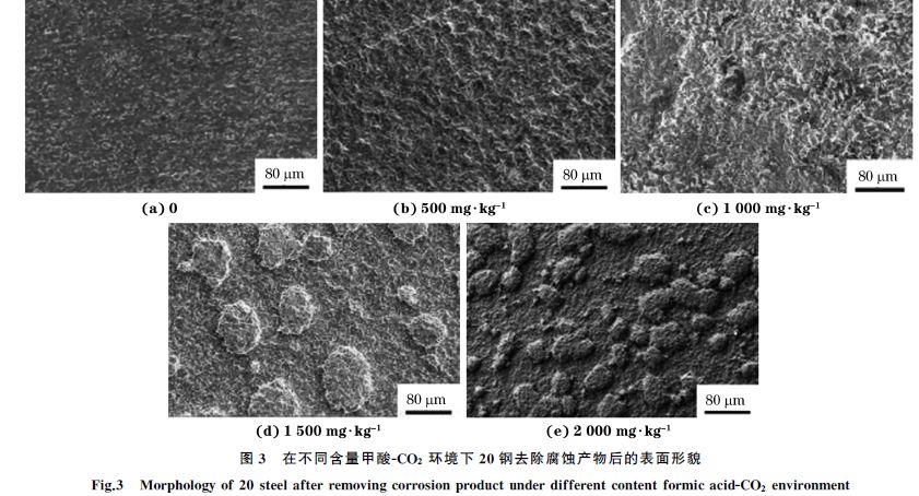 圖３ 在不同含量甲酸ＧCO２ 環(huán)境下２０鋼去除腐蝕產(chǎn)物后的表面形貌