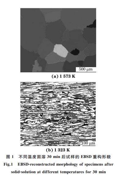 圖１ 不同溫度固溶３０min后試樣的 EBSD重構形貌