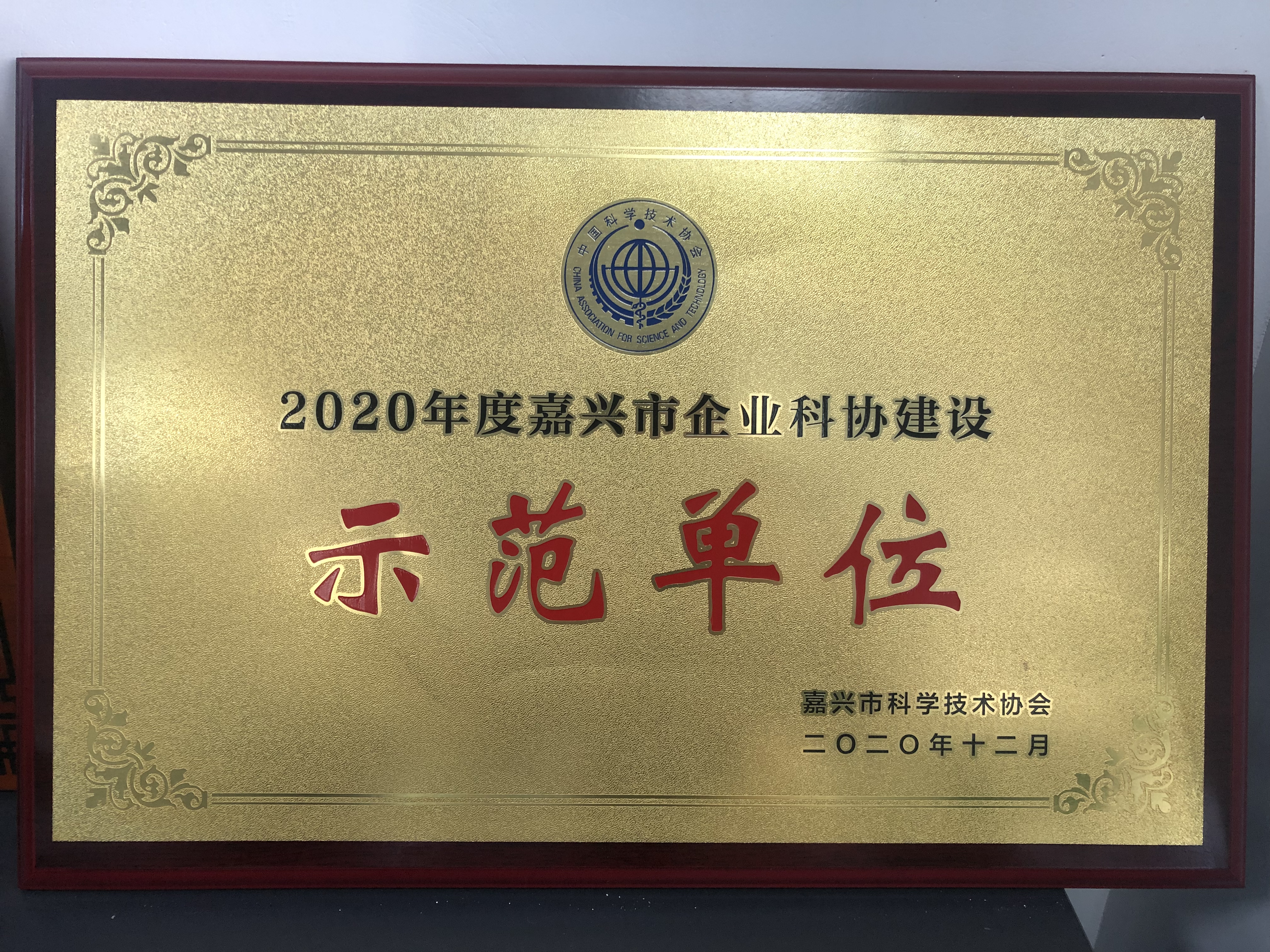 10 嘉興市企業(yè)科協(xié)建設(shè)“示范單位”